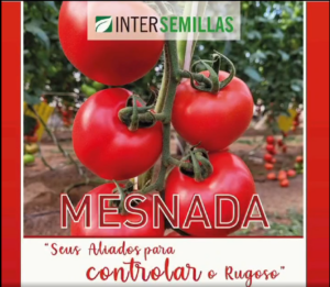 2024-02-05 13_42_41-MESNADA surpreende em Portugal🍅🍅🍅 📣TOMATES DE INTERSEMILLAS “Seus Aliados pa